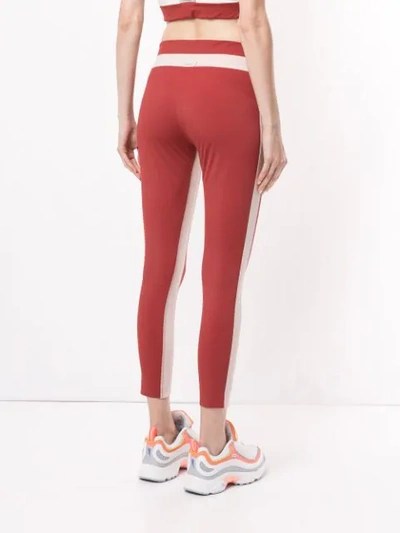 Shop Vaara Freya Leggings In Red