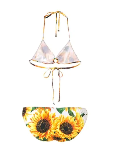 Shop Dolce & Gabbana Sunflower Bikini In Yellow