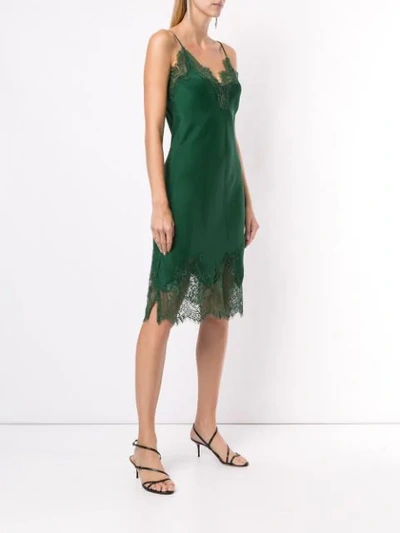 Shop Gold Hawk Lace Detail Dress In Green