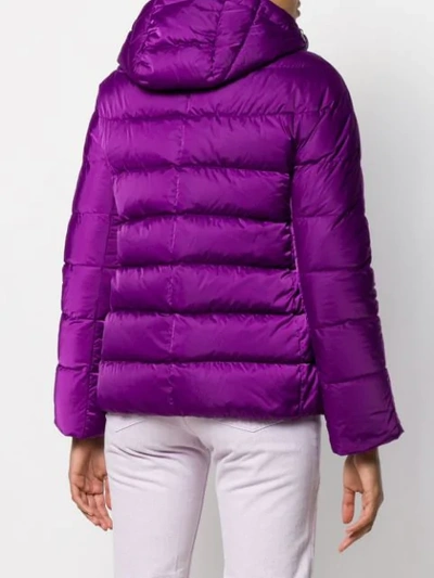 Shop Herno Hooded Puffer Jacket In Purple