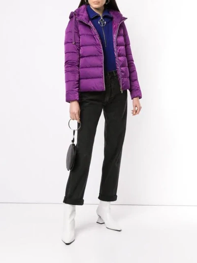Shop Herno Hooded Padded Jacket In Purple