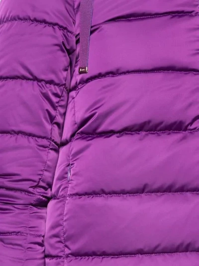 Shop Herno Hooded Padded Jacket In Purple