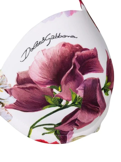 Shop Dolce & Gabbana Floral Print Bikini Top In Pink