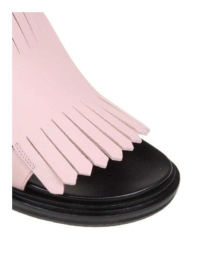 Shop Marni Fussbett Sandal In Pink Calf Leather In Black