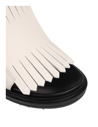 Shop Marni Fussbett Sandal In Calf Leather White Color In Black