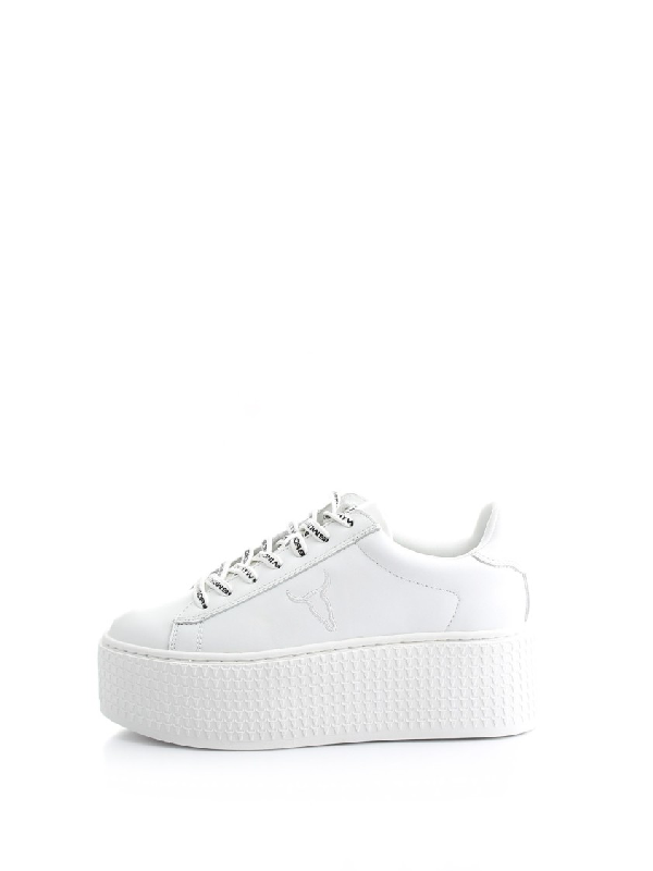 windsor smith seoul sneakers