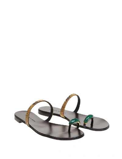 Shop Giuseppe Zanotti Ring Gem Leather Sandals In Black