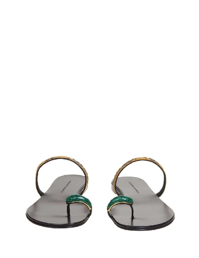 Shop Giuseppe Zanotti Ring Gem Leather Sandals In Black