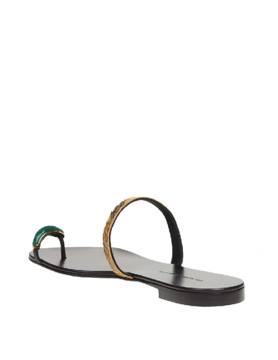 Shop Giuseppe Zanotti Ring Gem Leather Sandals In Black