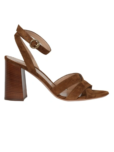 Shop Gianvito Rossi Ankle Strap Sandal, Texas Brown In Red