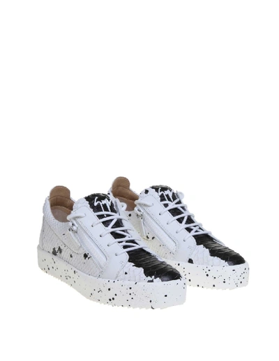 Shop Giuseppe Zanotti Design May Sneakers In Leather Ready Print White Color