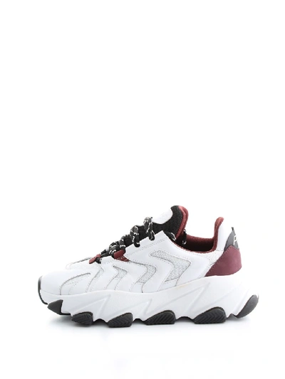 Shop Ash Extreme Leather Sneakers In White