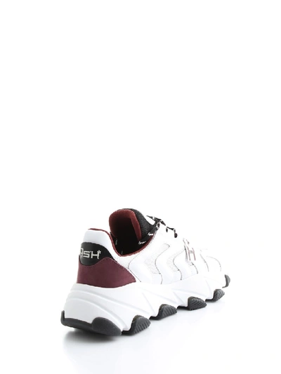 Shop Ash Extreme Leather Sneakers In White