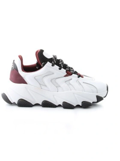 Shop Ash Extreme Leather Sneakers In White