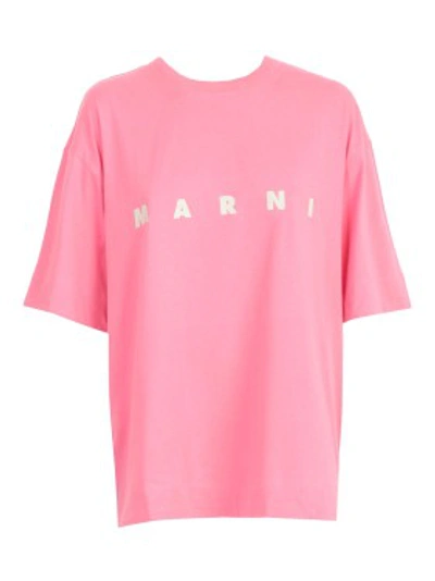 Shop Marni Printed Cotton T-shirt In Pink
