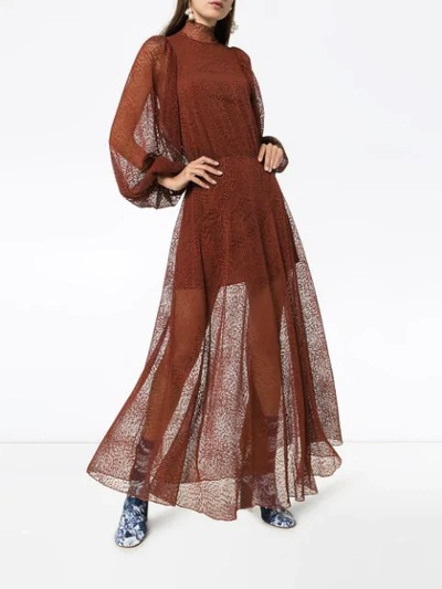 Shop Beaufille Picasso High-neck Sheer Dress In Brown