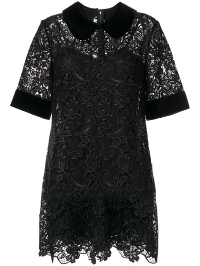 Shop Dolce & Gabbana Lace Detail Collared Dress In Black