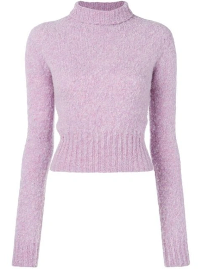 Shop Victoria Beckham Turtle Neck Knit Jumper In Purple