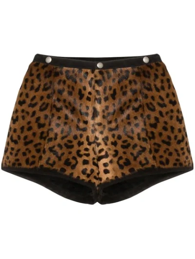 Shop Saint Laurent Leopard Print Hot Pants In Brown