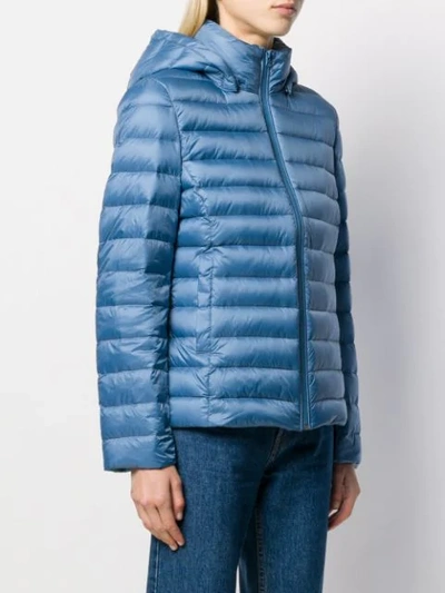 Shop Calvin Klein Hooded Padded Jacket In Blue