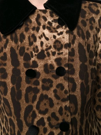 Shop Dolce & Gabbana Leopard Print Trench Coat In Brown