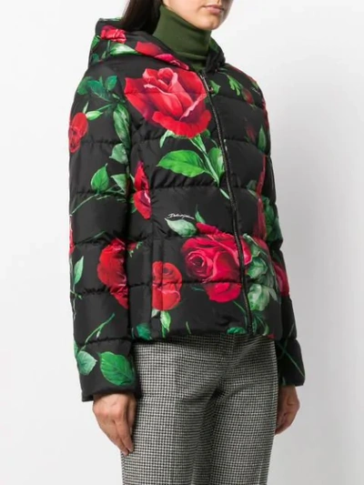 Shop Dolce & Gabbana Rose Print Puffer Jacket In Black