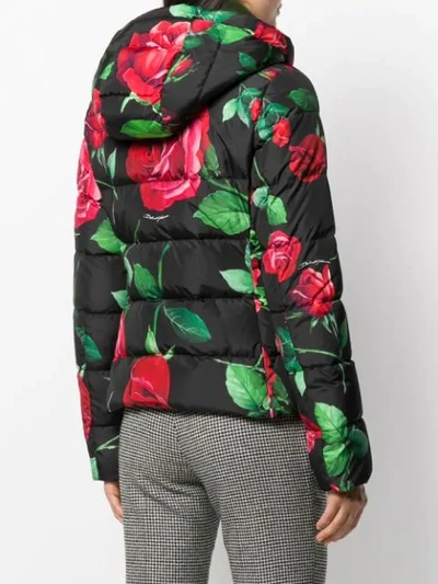 Shop Dolce & Gabbana Rose Print Puffer Jacket In Black