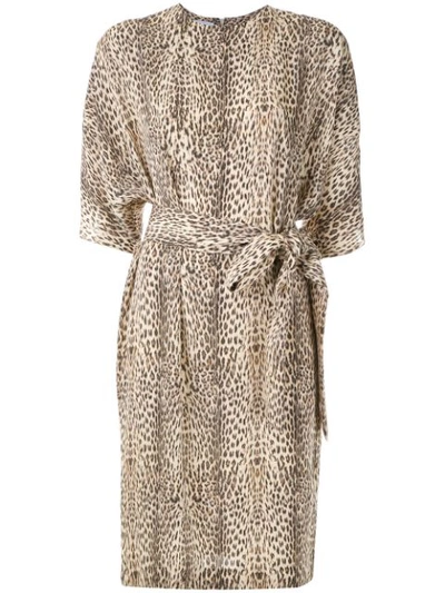 Shop Gloria Coelho Belted Leopard Print Dress In Multicolour