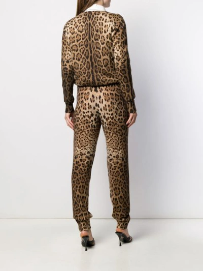 Shop Dolce & Gabbana Leopard Print Cashmere Jumpsuit In Brown