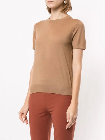 Shop Theory  In Brown