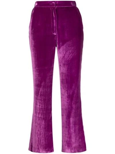 Shop Almaz Cropped Flared Trousers In Purple