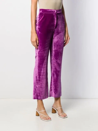 Shop Almaz Cropped Flared Trousers In Purple