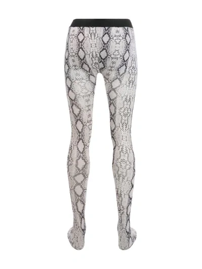 Shop Laneus Snakeskin Print Tights In Neutrals