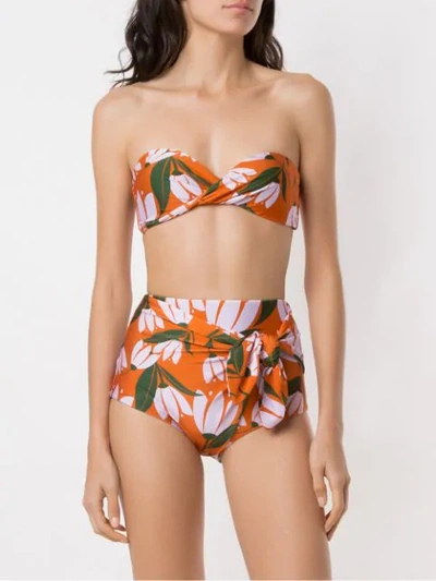 Shop Adriana Degreas Printed Hot Pants Bikini Set In Multicolour