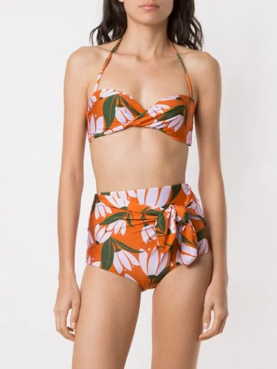 Shop Adriana Degreas Printed Hot Pants Bikini Set In Multicolour