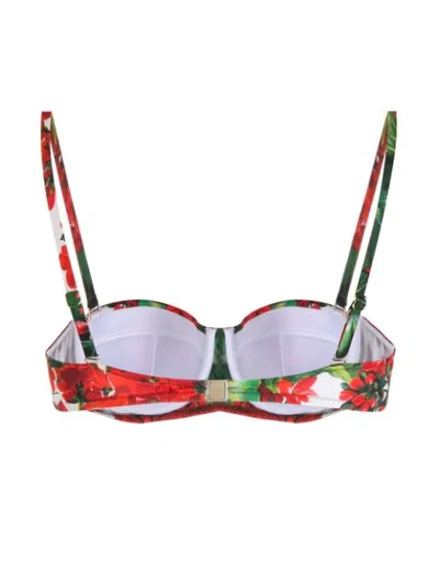 Shop Dolce & Gabbana Floral-print Bikini Top In Green