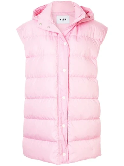 Shop Msgm Hooded Padded Gilet In Pink