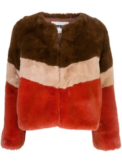 Shop Apparis 'brigitte' Jacke Mit Faux Fur In Brown