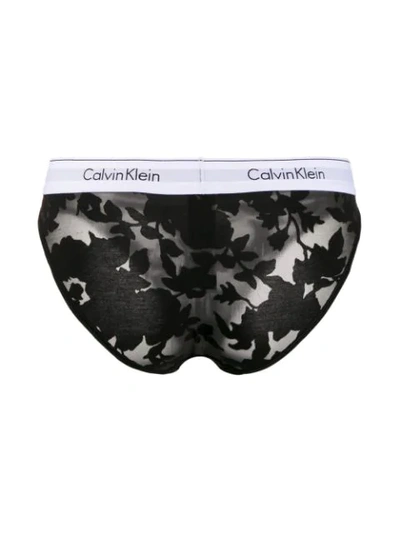 Shop Calvin Klein Sheer Floral Briefs - Black
