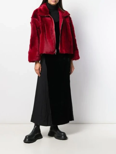 Shop Andrea Ya'aqov Zipped Shearling Jacket In Red