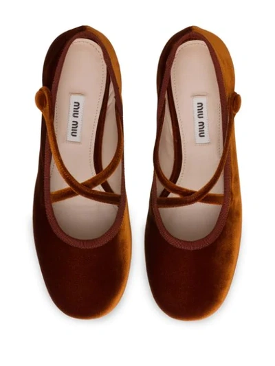 Shop Miu Miu Crossover Strappy Ballerinas In Brown