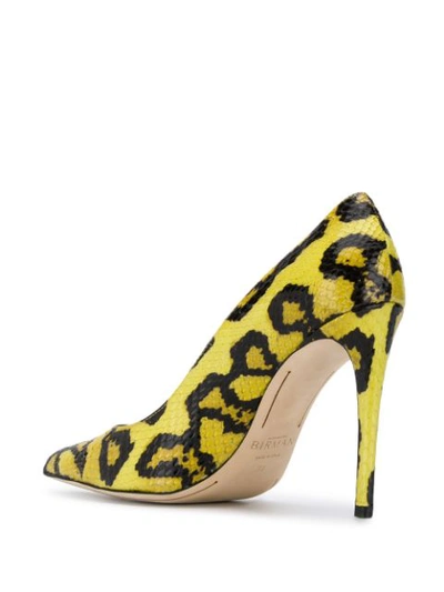 Shop Alexandre Birman Piano Exotic Pumps In Yellow