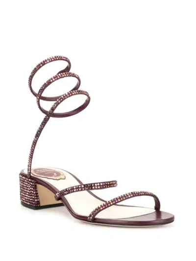 Shop René Caovilla Spring Strap Sandals In Purple