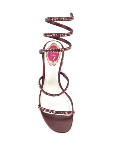 Shop René Caovilla Spring Strap Sandals In Purple