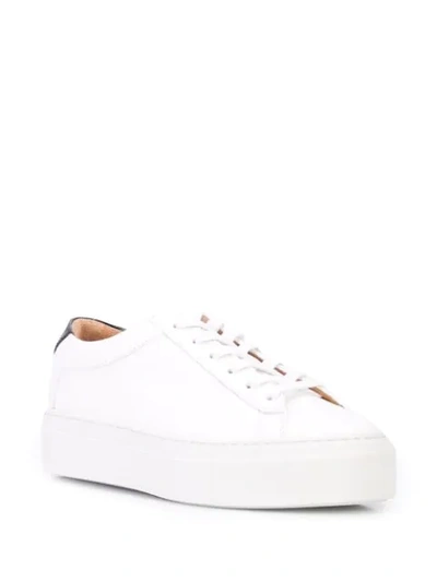Shop Koio Platform Low Top Sneakers In White