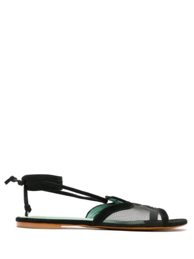 Shop Blue Bird Shoes Rubem Panelled Sandals In Black