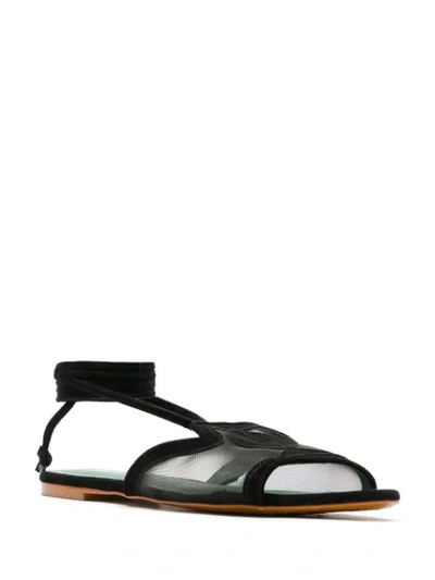 Shop Blue Bird Shoes Rubem Panelled Sandals In Black