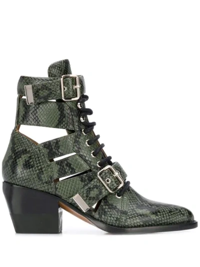 Shop Chloé Rylee Ankle Boots In Green