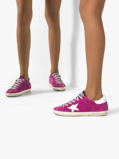 Shop Golden Goose Superstar Low Top Sneakers In Purple