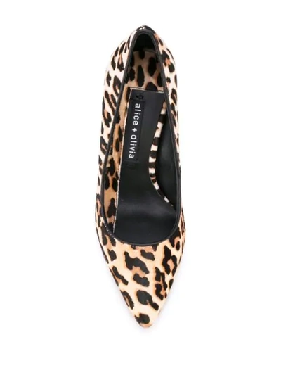 Shop Alice And Olivia Creda Leopard Pumps In Multicolour